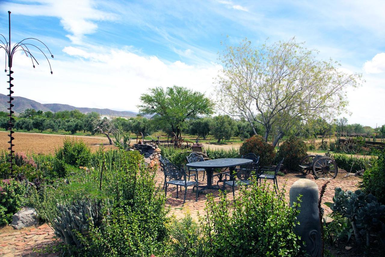 Aloe Guest House Prince Albert Esterno foto