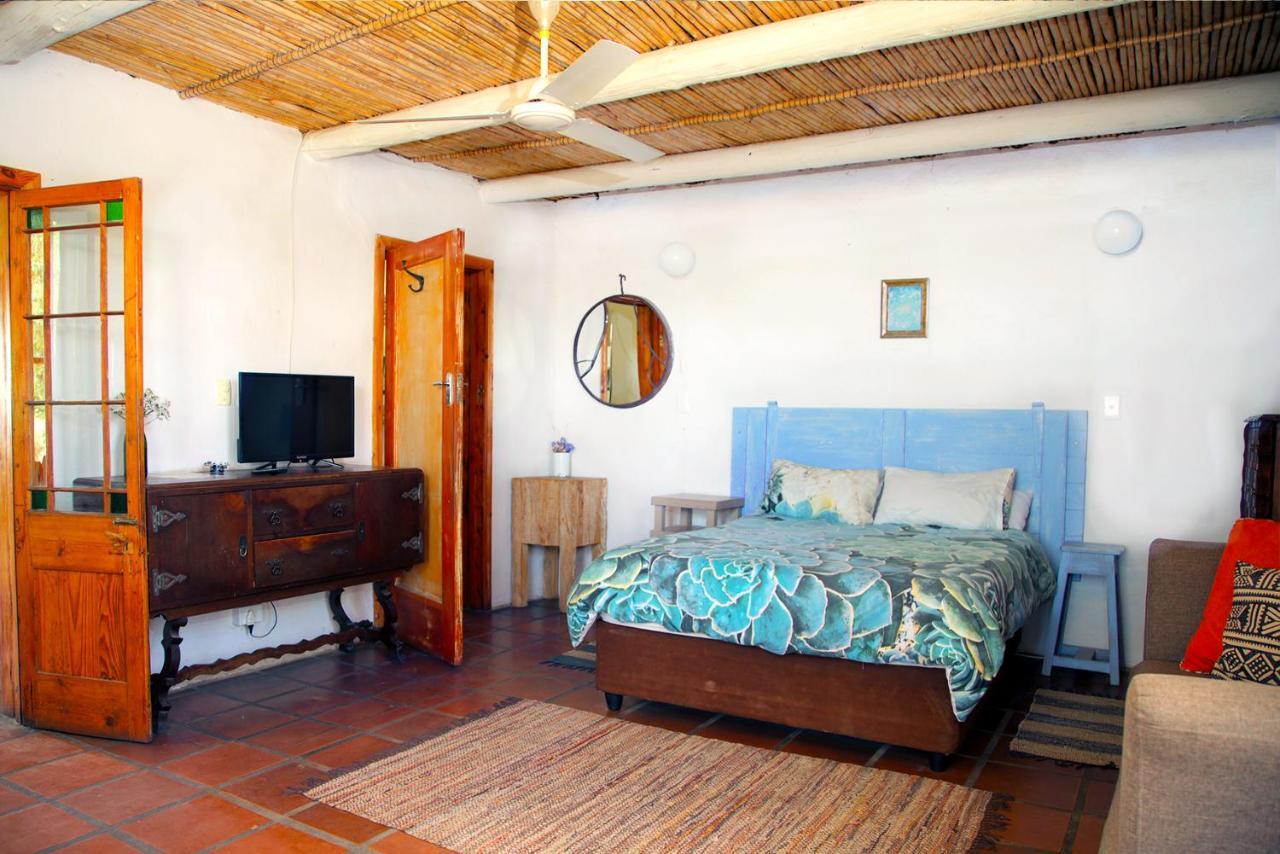 Aloe Guest House Prince Albert Esterno foto