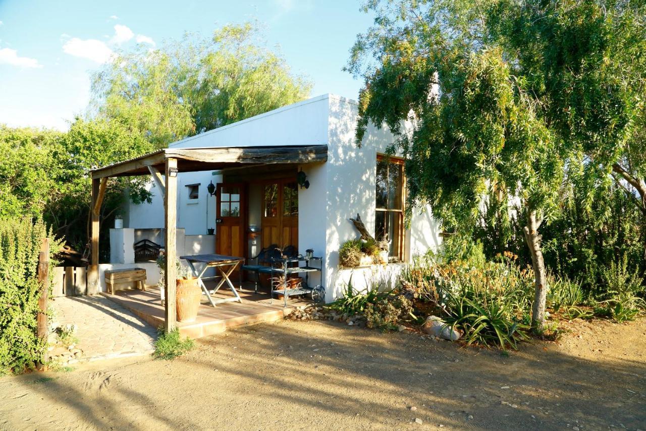 Aloe Guest House Prince Albert Esterno foto