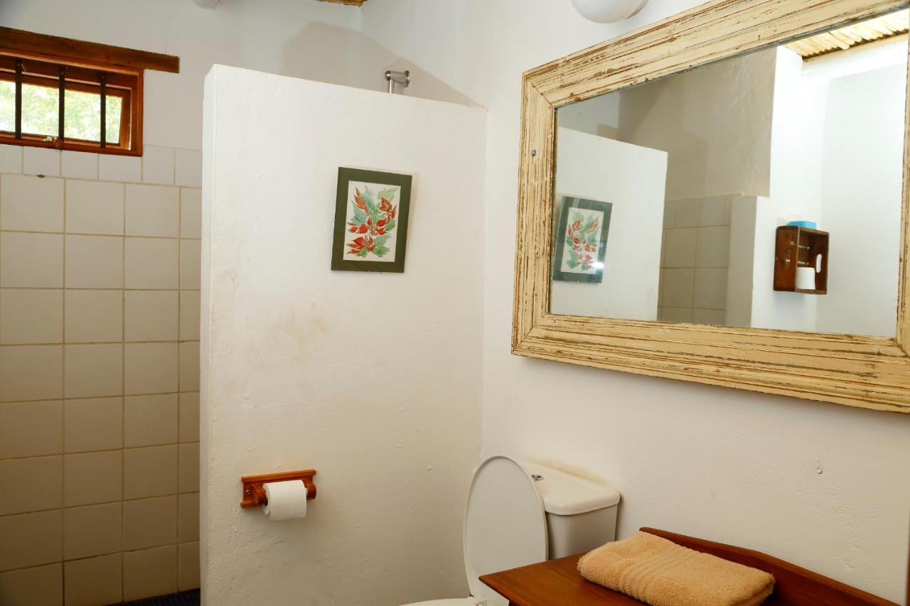 Aloe Guest House Prince Albert Esterno foto