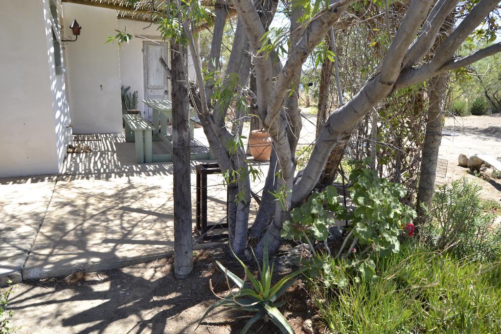 Aloe Guest House Prince Albert Esterno foto