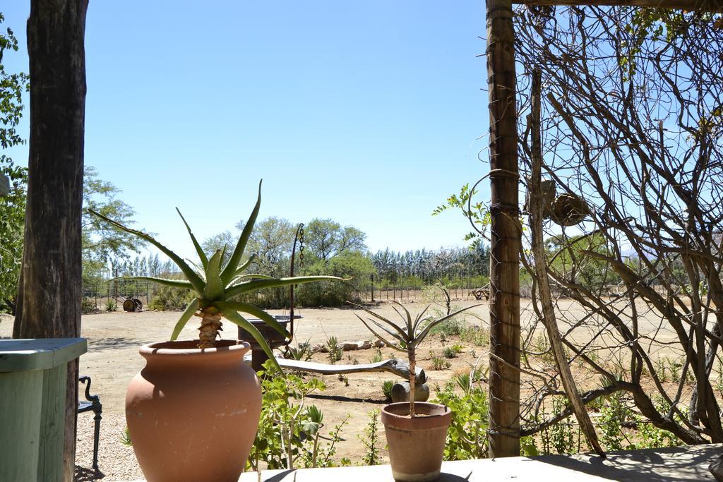 Aloe Guest House Prince Albert Esterno foto