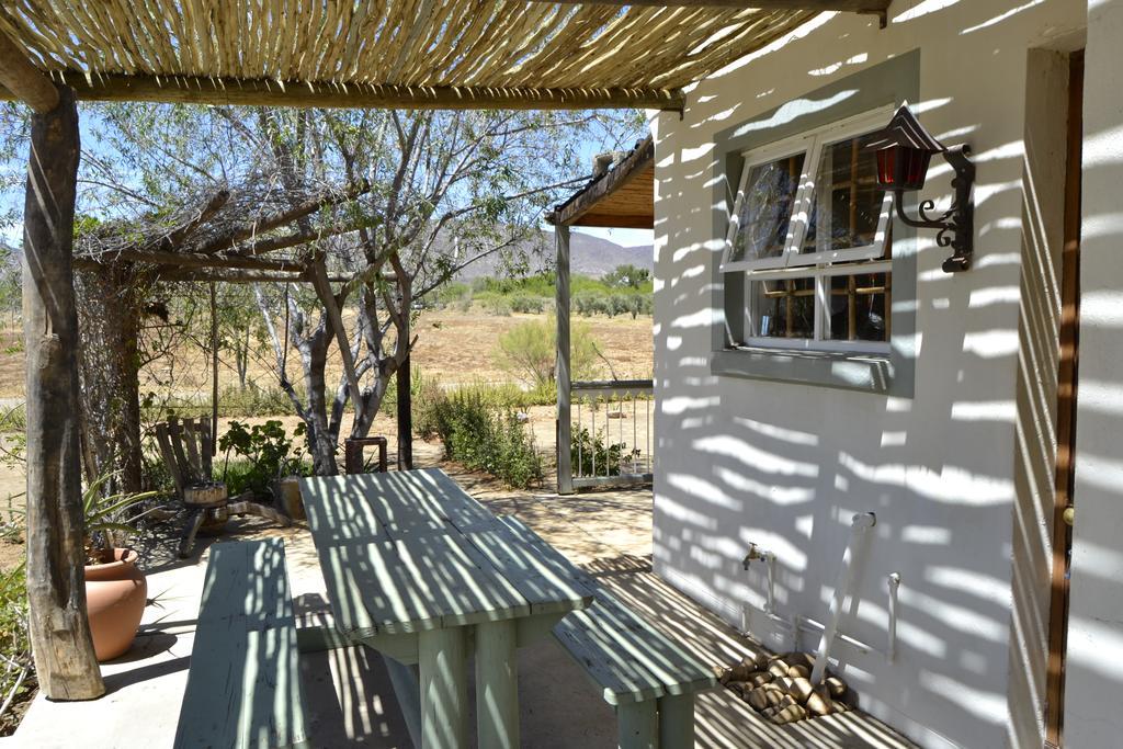 Aloe Guest House Prince Albert Esterno foto